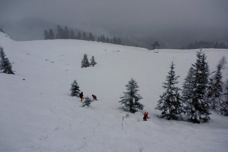 P1010235.jpg