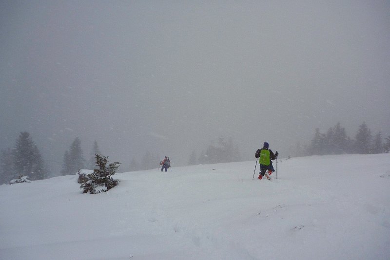 P1010250.jpg