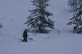IMG_6536