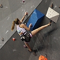 445.JPG