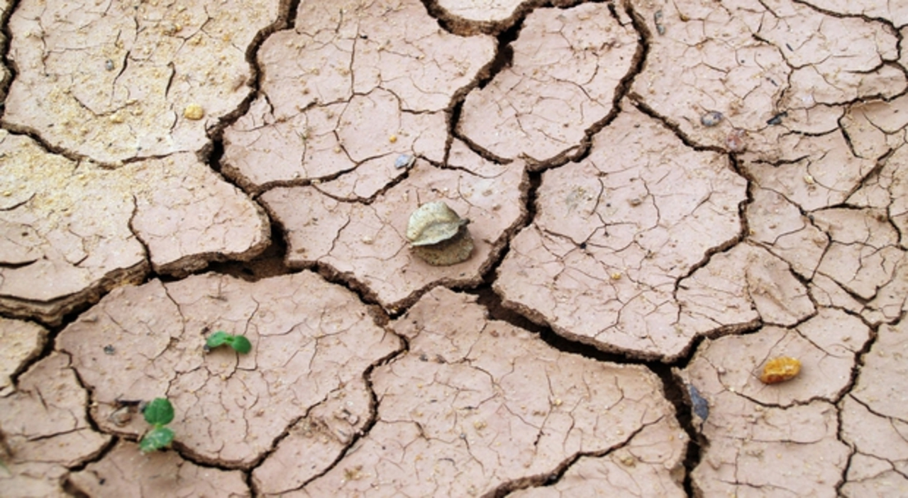 Lire la suite à propos de l’article 17-06-2022 Canicule