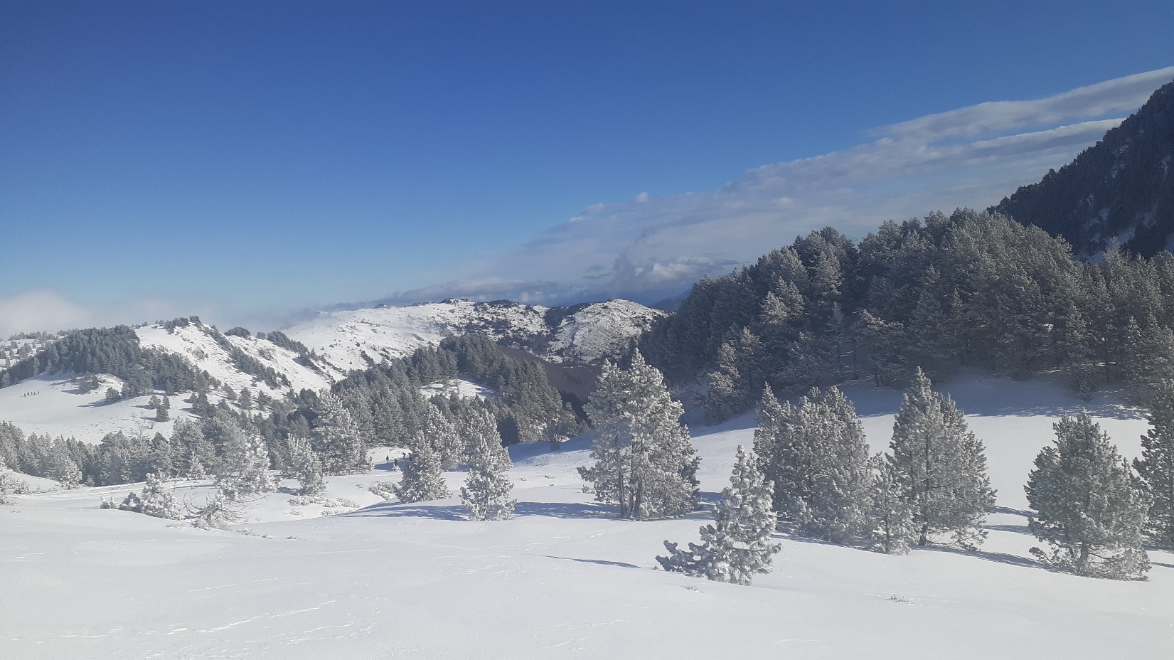 Lire la suite à propos de l’article Du soleil et de la neige fraiche au Tarbésou