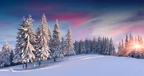 You are currently viewing Vacances de Noel 2025