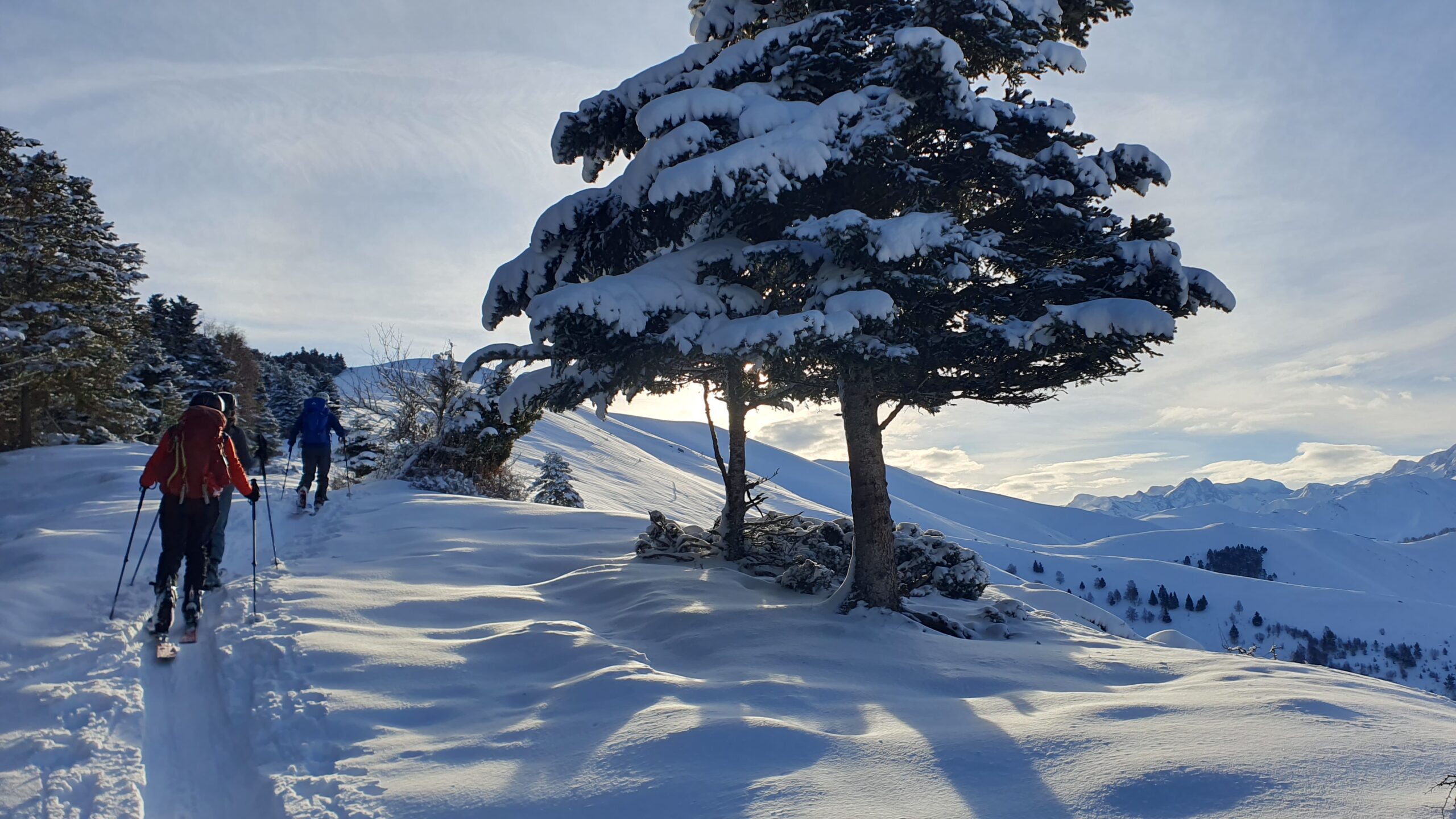 You are currently viewing Il a neigé: 3 sorties ski alpi au TAG cette semaine